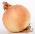 Onion