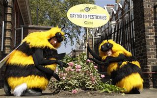 Giant Bees and the 1%: Protests Against Chelsea Flower Show