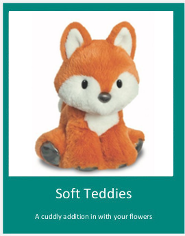 soft teddies