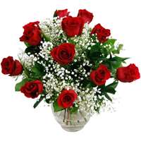 12 Luxury Red Roses