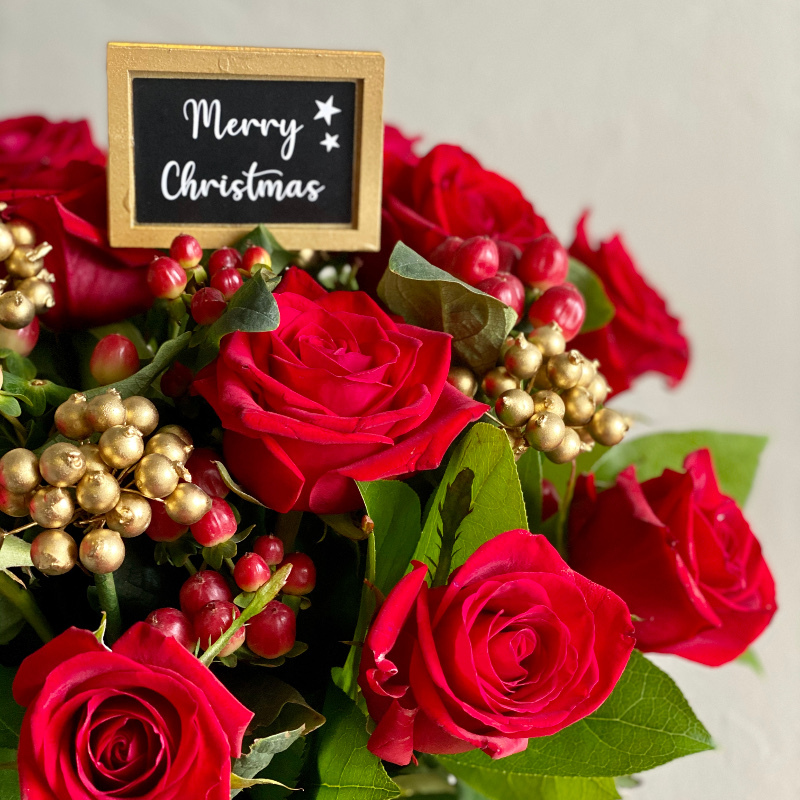 Christmas Roses Life 2