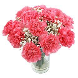 Pink Carnations