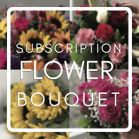 6 Month Gift Subscription Flowers